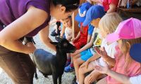 1. Wycieczka do Dobrej Alpaki mini ZOO w dobrej