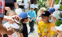 1. Wycieczka do Dobrej Alpaki mini ZOO w dobrej