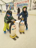 c_150_200_16777215_00_images_z_zycia_przedszkola_202526_luty_lodowisko_-_nidzwiedzie_lodowisko_9.jpg