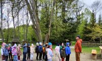 16.05.25 r. Wycieczka do Zubrzycy Park Etnograficzny Gr. Zajączki 5