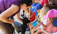 1. Wycieczka do Dobrej Alpaki mini ZOO w dobrej