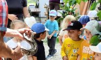 1. Wycieczka do Dobrej Alpaki mini ZOO w dobrej