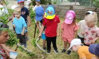 1. Wycieczka do Dobrej Alpaki mini ZOO w dobrej